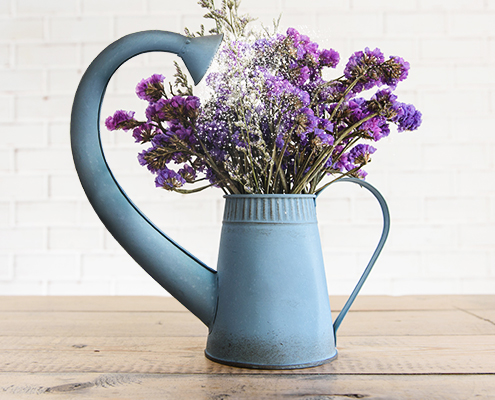 Gießkanne mit Blumen - Wohnungen in Wilhelmshaven