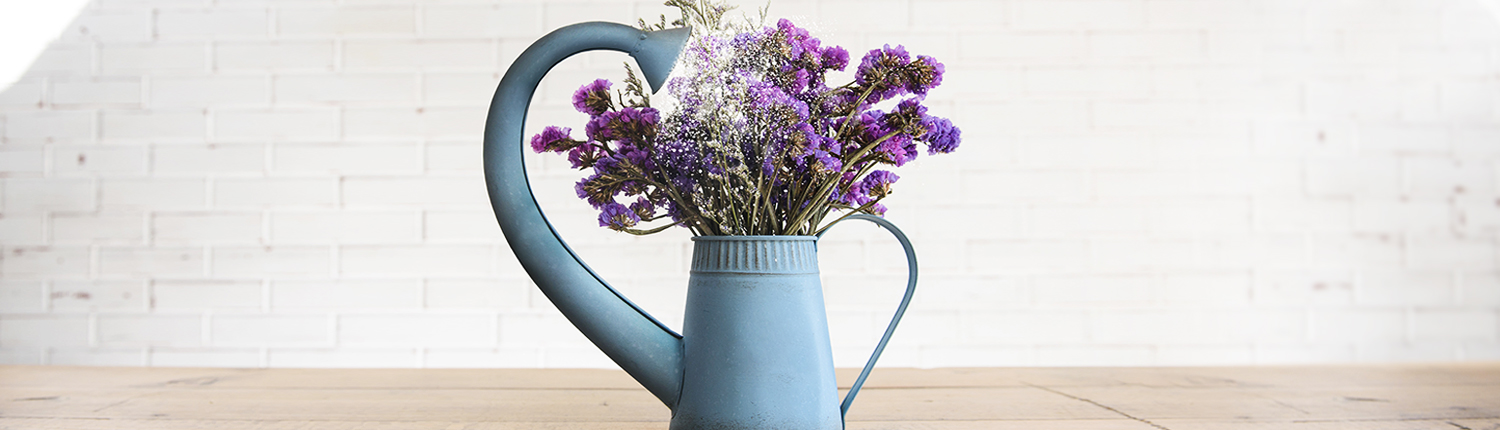 Gießkanne mit Blumen - Wohnungen in Wilhelmshaven