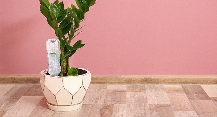 Selbstbewässerung von Blumen für die Wohnung