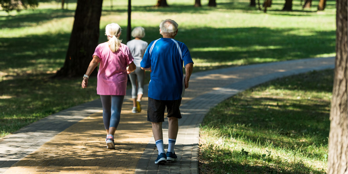 Walking Grupe in der Parkanlage Sibethsburg