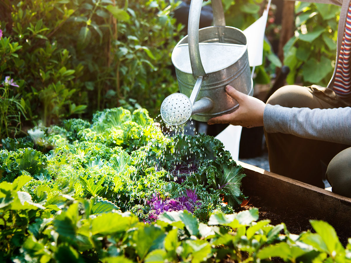 Garten