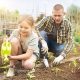 Gartenarbeit