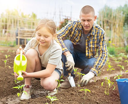 Gartenarbeit